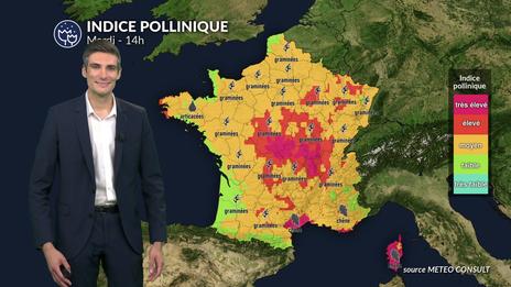 Pollens et allergies ce mardi : un risque allergique encore élevé avant l’arrivée des pluies et des orages