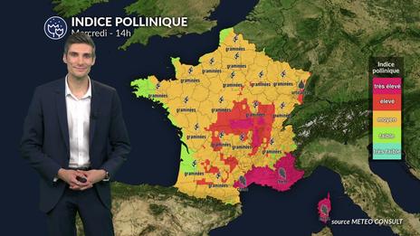 Pollens et allergies ce mercredi : pic pollinique majeur dans le centre et le sud, les graminées au plus haut
