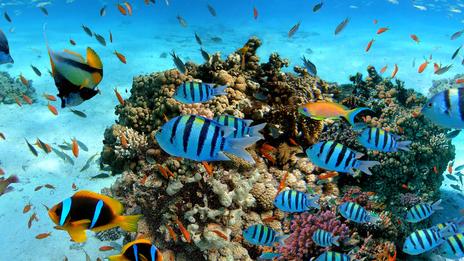 Journée mondiale des océans 2026 : pourquoi il faut réimaginer notre relation avec la mer