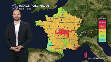 Pluie et vent : soulagement attendu jeudi après un pic de graminées et de cyprès dans le Sud