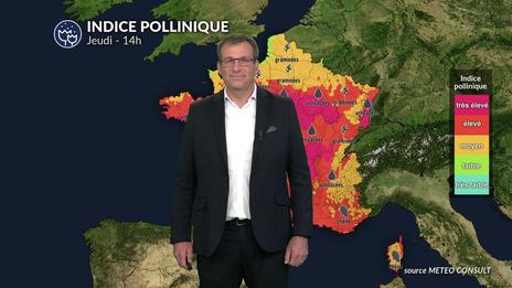 Pollens et allergies : encore des indices polliniques très élevées pour les graminées et urticacées sur les 2/3 sud