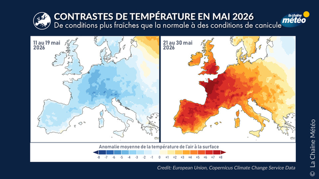 D Actualités France