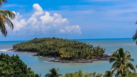 Guyane en été : 5 expériences à vivre entre Amazonie, tortues marines et îles du Salut