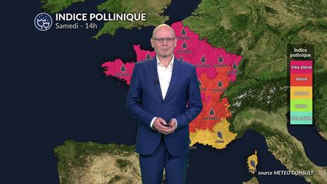 Alerte pollens maximale ce samedi : la chaleur libère une saturation de graminées et d'urticacées