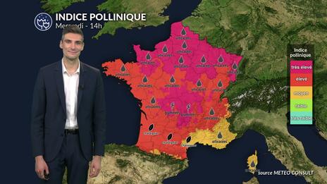 Pollens et allergies : risque allergique maximal sur une grande partie du pays ce mercredi