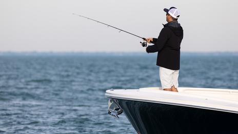 Bar, dorade, maquereau, thon rouge : le grand guide de la pêche à bord de son bateau