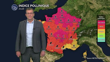 Pollens et allergies : risques très élevés sur la plus grande partie du pays avec le cocktail soleil et canicule