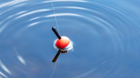 Pêche au flotteur en mer : une technique fine pour lire l’eau et mieux cibler les poissons