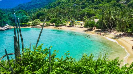 Colombie - Portugal : des Caraïbes à l’Atlantique, une affiche taillée pour le large