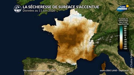 Canicule : l’assèchement rapide des sols devient préoccupant