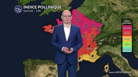 Canicule et pic de graminées : risque allergique très élevé sur un large axe du Grand Est à la Nouvelle-Aquitaine