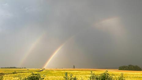 Orages : un risque de phénomènes violents jusqu’à samedi avant le pic de canicule
