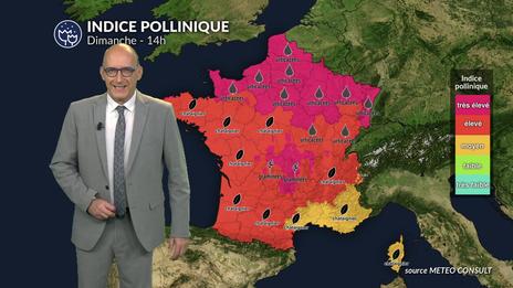 Canicule et pic de graminées : risque très élevé, voire maximal dimanche