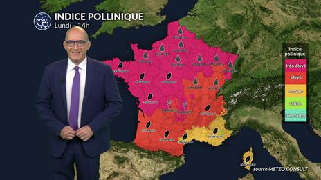 Canicule et pic de graminées : risque très élevé, voire maximal lundi