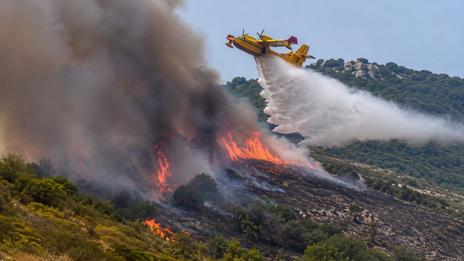 Canicule : le risque d'incendie au maximum cette semaine