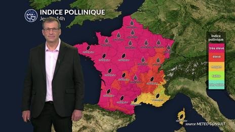 La canicule continue de favoriser des indices polliniques très élevés sur la France