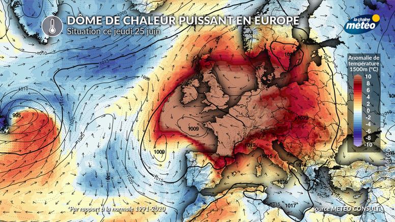 Canicule historique : l'Europe suffoque et fait face à une chaleur extrême