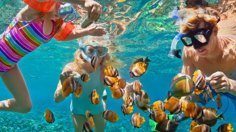 Snorkeling en famille : où aller et comment équiper les enfants cet été