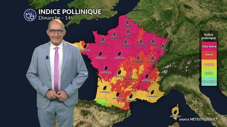 Pollens et allergies : risque toujours aussi élevé malgré la baisse de la température et les orages