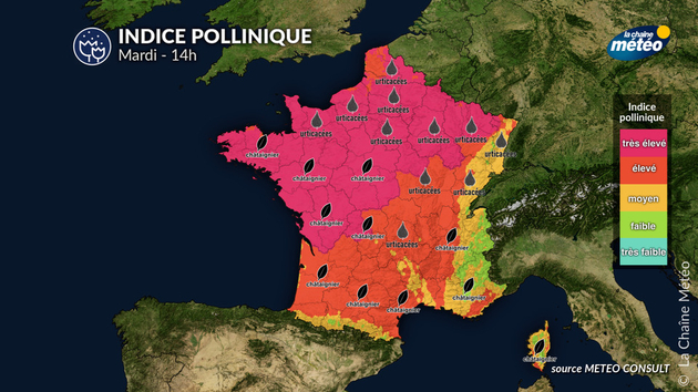 Indice pollinique mardi Pollens Et Allergies