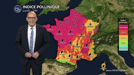 Pollens et allergies : amélioration progressive lundi, mais la vigilance reste de mise