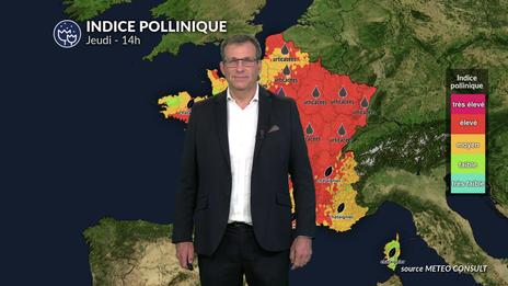 Pollens et allergies : des indices polliniques moins élevés dans le nord-ouest ce jeudi