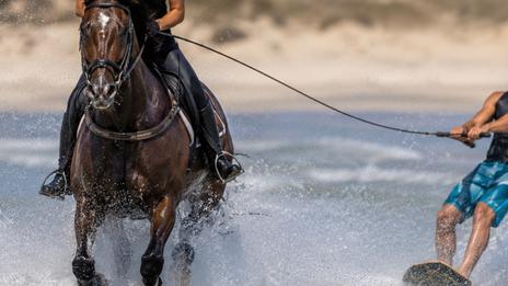 Horse surfing : quand le cheval remplace le jet-ski