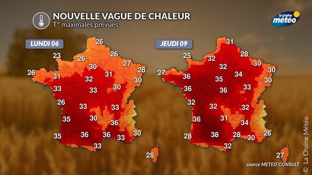 T° maximales attendues la semaine prochaine Actualités France