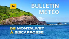 thumbnail video