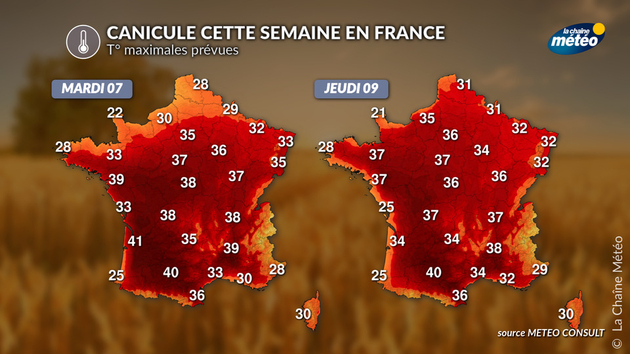 T° maximales prévues cette semaine en France Actualités France