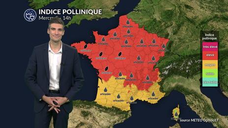 Pollens et allergies ce mercredi : risque allergique maximal dans de nombreuses régions