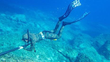 Pêche en apnée : le guide pour se lancer en toute sécurité