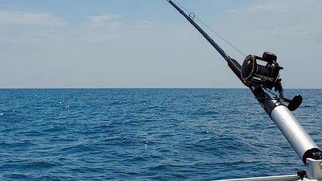 Pêche de loisir : 5 poissons à ne pas garder si vous les remontez cet été