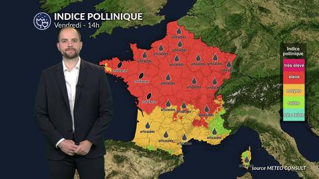 Canicule : risque allergique encore élevé avec quelques orages salvateurs