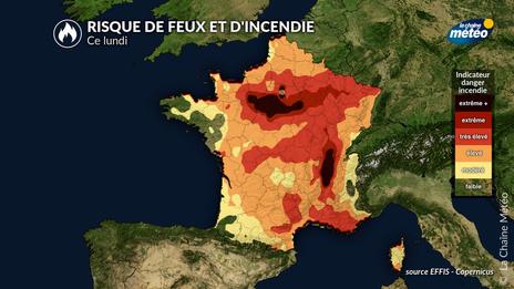 Incendies en France : 25 000 hectares brûlés depuis le début de saison, plus de 1 000 hectares ravagés à Fontainebleau