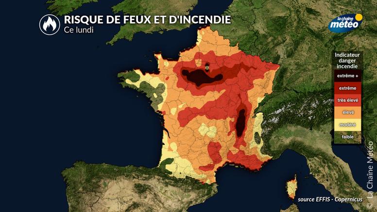 Incendies en France : 25 000 hectares brûlés depuis le début de saison, plus de 1 000 hectares ravagés à Fontainebleau