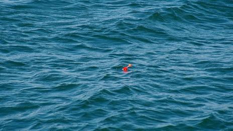 La pêche au bouchon, une technique simple et pleine de surprises