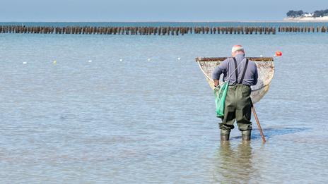 Pêche à la crevette : la sortie familiale idéale pour découvrir l’estran cet été