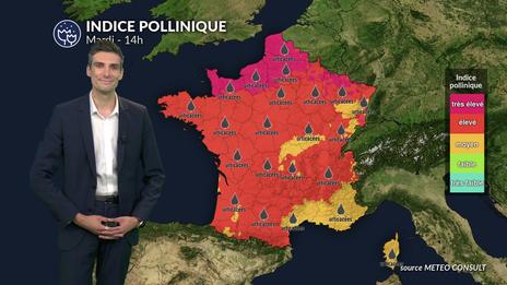 Pollens et allergies : risque très élevé sur une grande partie de la France ce mardi