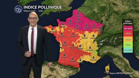 Pollens et allergies : risque très élevé sur une grande partie de la France