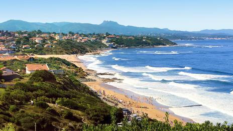 Une microalgue tropicale gagne du terrain sur la côte basque : faut-il s'inquiéter ?