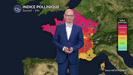 Alerte pollen niveau 5 : chêne et urticacées saturent l'air sur 80 % du territoire