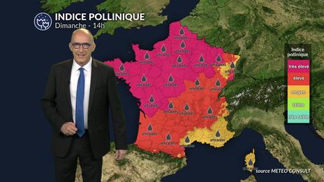 Canicule au sud et air frais au nord : urticacées et olivier sous haute surveillance dans le tiers sud