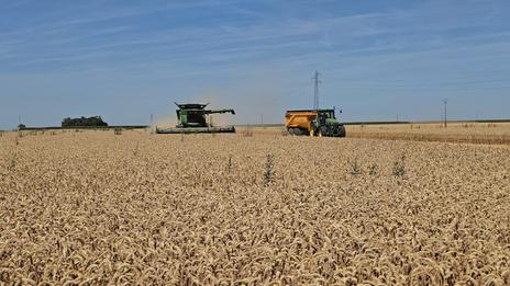 Sécheresse et canicules : de lourdes conséquences dans le domaine agricole, quel impact sur les prix ?