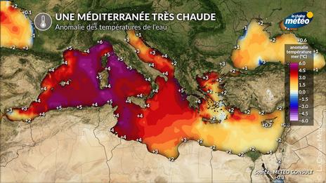 Méditerranée à près de 30 °C : une mer exceptionnellement chaude après les canicules