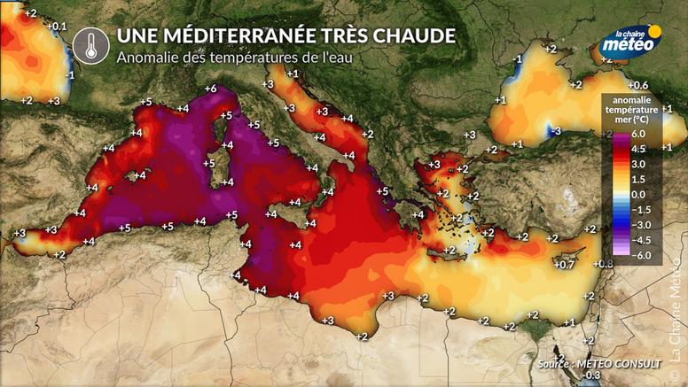 Méditerranée à près de 30 °C : une mer exceptionnellement chaude après les canicules