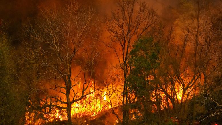 Var, Gironde : les incendies poursuivent leurs ravages, nombreuses évacuations en cours
