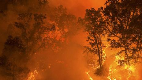 Mégafeu en Aquitaine : cause et précédents historiques