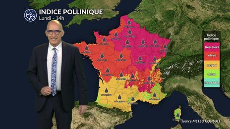 Risque allergique quasi nul sur toute la France : profitez de l'accalmie pollinique avant le retour de la canicule