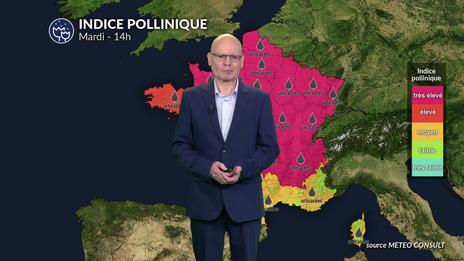 Alerte rouge aux pollens ce mardi : urticacées et graminées saturent l'air de la moitié nord sous l'effet de la chaleur